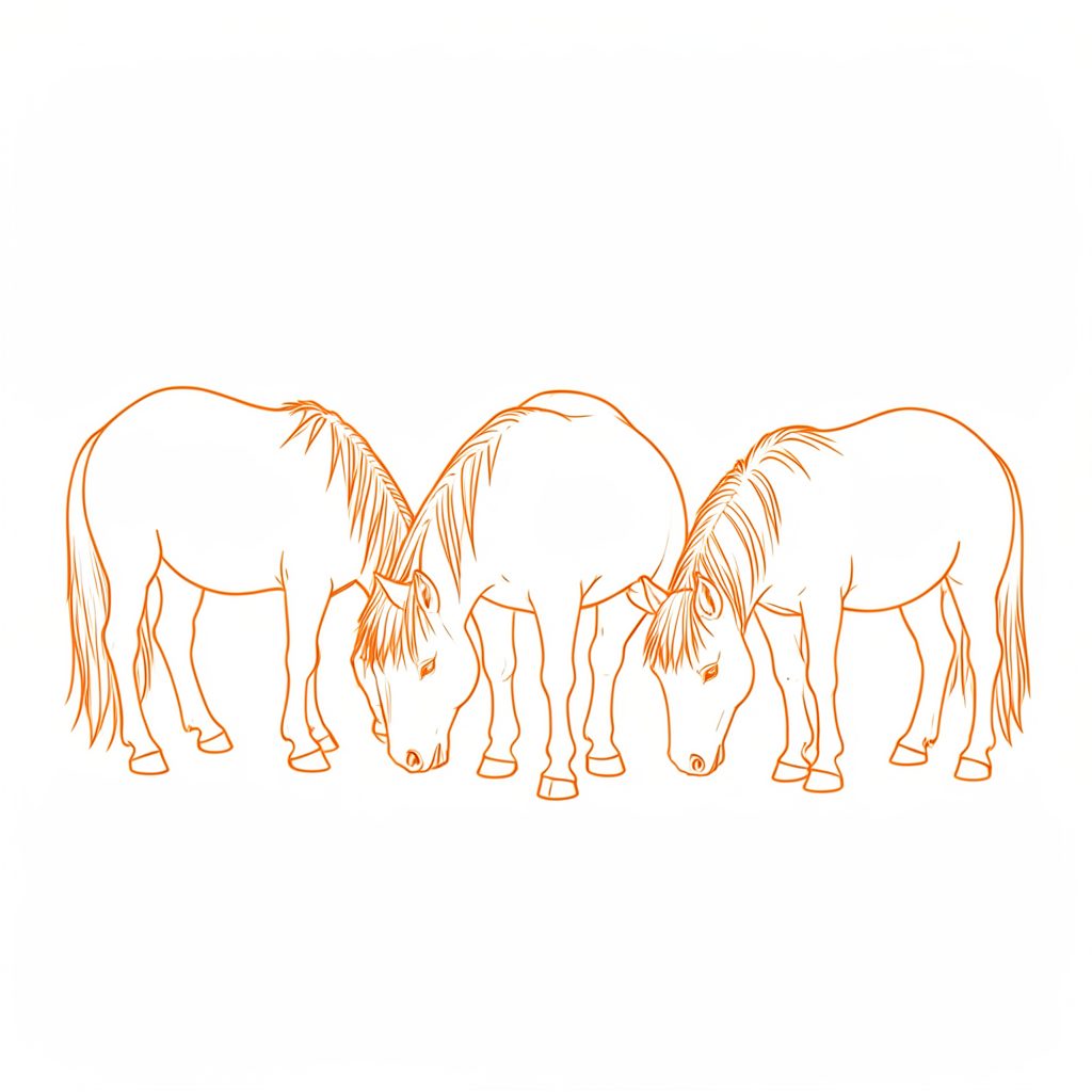 Line drawing of a group of three Shetland ponies of varying colours grazing together